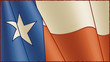 Vintage Texas Flag (close-up)