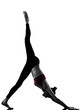 woman exercising yoga  Adho Mukha Svanasana