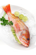 Raw Wild Rockfish