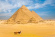 Photo: All Giza Pyramids Donkey Cart Family All Giza Pyramids Donkey Cart Family