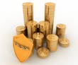 protection of  finance