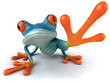 Blue frog