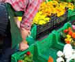 Blumenverkäufer auf dem Markt
