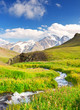 Photo: River on meadow River on meadow