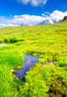 Grass and water