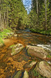 river with big stones in a mountain forest river with big stones in a mountain forest