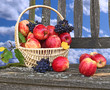 Obstkorb