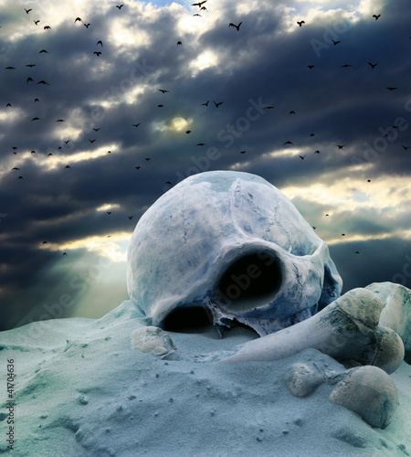 Foto: Apocalypse after war abstract skull and birds Apocalypse after war abstract skull and birds