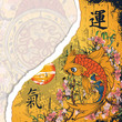 torn cardboard with koi fish