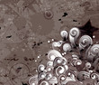 grunge floral background