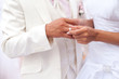 Wedding rings on the hands