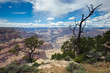 Grand Canyon, South Rim Grand Canyon, South Rim