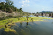 Alghe nel fiume Mekong all'isola di Don Khon in Laos Alghe nel fiume Mekong all'isola di Don Khon in Laos