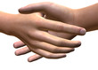 STRETTA DI MANO - 3D