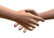 STRETTA DI MANO - 3D
