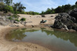 spiaggia sul fiume Mekong all'isola di Don Khon in Laos spiaggia sul fiume Mekong all'isola di Don Khon in Laos