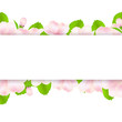 Apple Tree Flowers With Paper Apple Tree Flowers With Paper