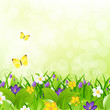 Flowers With Grass With Butterfly And Bokeh Flowers With Grass With Butterfly And Bokeh