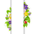 Flowers And Ladybug With Paper Flowers And Ladybug With Paper