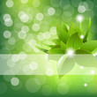 Green Leaves Design