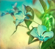 grunge flowers background