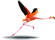 Vector: flying flamingo flying flamingo