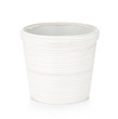 White flowerpot