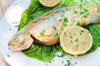 Grilled trout on a plate Grilled trout on a plate
