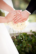 Wedding rings