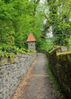 path in garden