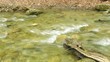 Rapid river with small waterfalls.