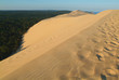 Dune du Pyla - Bassin d'Arcachon