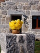 Façade en granit.Aubrac