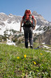 Frühlingserwachen in den Alpen