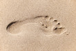 Spur Im Sand