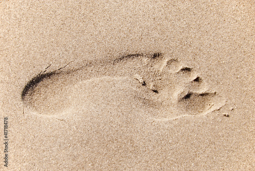 Photo: Spur im Sand Spur im Sand