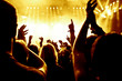cheering concert crowd cheering concert crowd