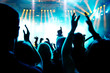 cheering concert crowd