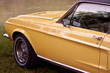 Yellow car