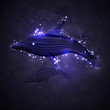 Neon dolphin, abstract strip, stylish illustration eps10