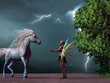 Fairy and Unicorn