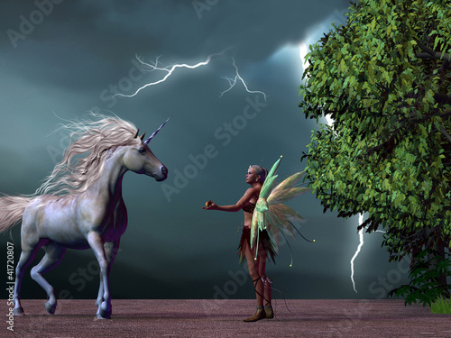 Illustration: Fairy and Unicorn Fairy and Unicorn