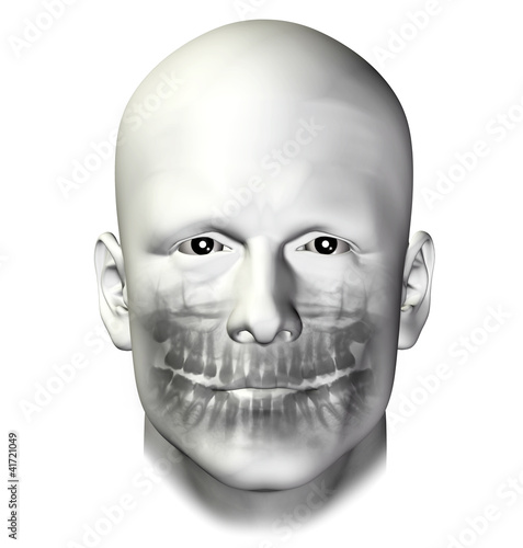 Illustration: teeth dental scan adult male teeth dental scan adult male