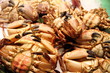 Crabs Fish market La Boqueria food market in Barcelona Crabs Fish market La Boqueria food market in Barcelona