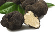 freshly harvested truffles