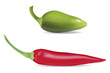 Vektor: Chili Pepper Chili Pepper
