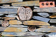 Bee Wall