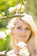 Foto: Frühling Frühling