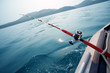 Photo: Salmon trolling in sea Salmon trolling in sea