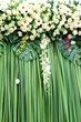 Green and white backdrop flowers arrangement